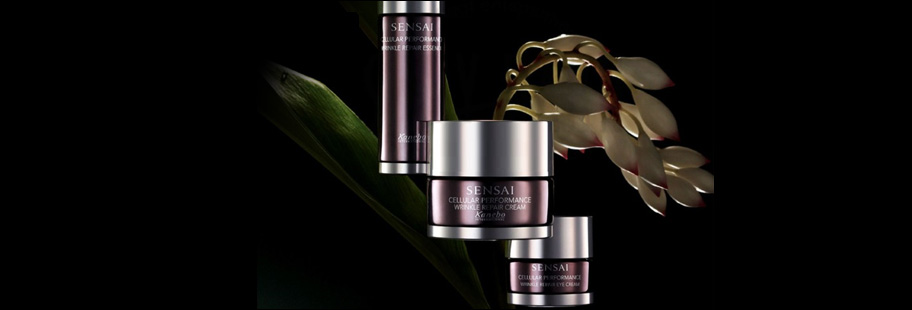 Cellular Performance Wrinkle Repair Cellular Performance Wrinkle Repair