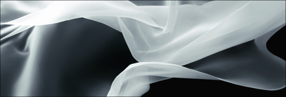 Silky Purifying Silky Purifying