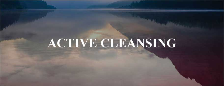 ACTIVE CLEANSING 