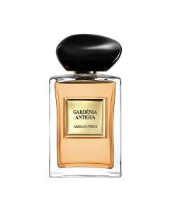 Gardenia Antigua
