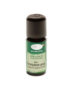 Eucalyptus globulus