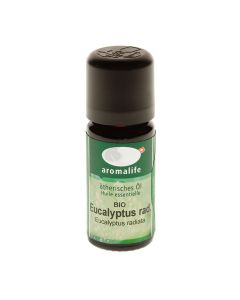 Eucalyptus radiata