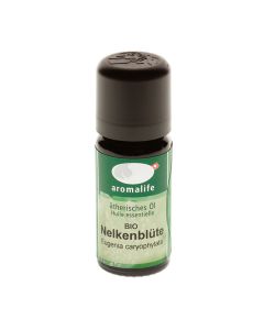 Nelkenblüte